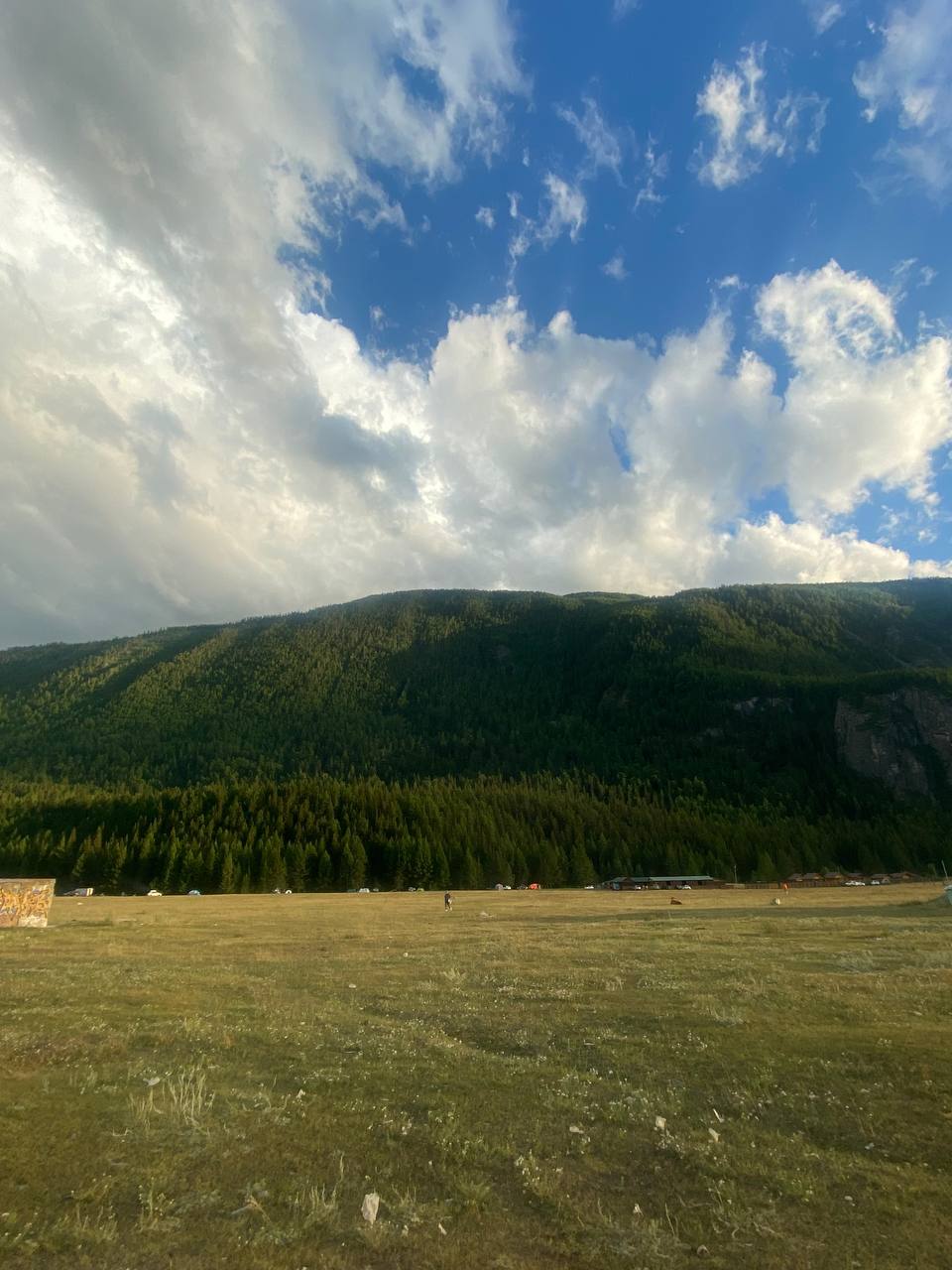 Арама Анна
