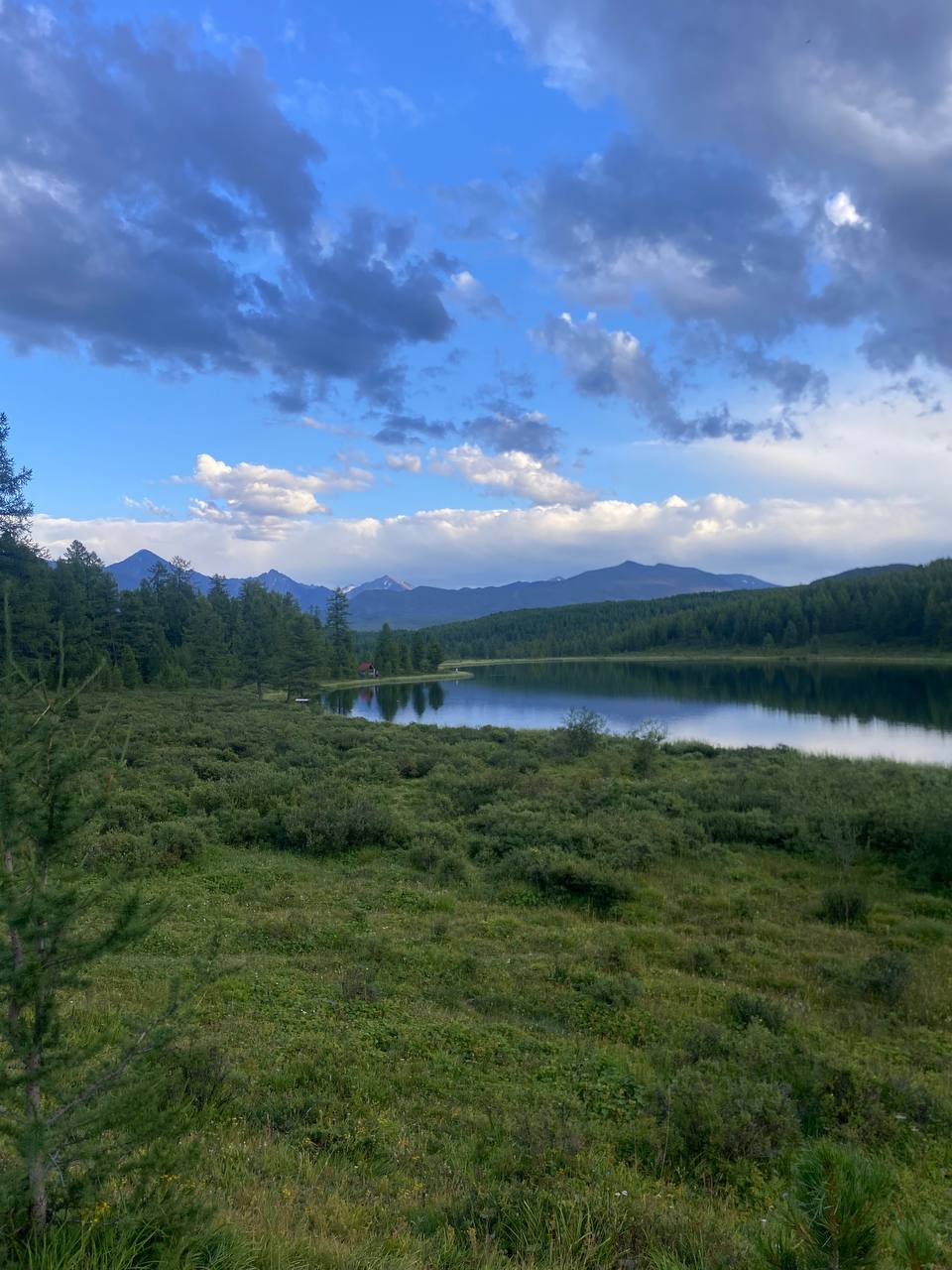 Арама Анна
