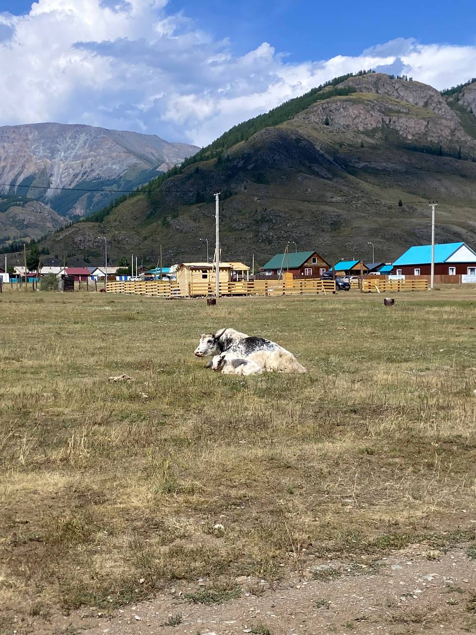 Арама Анна