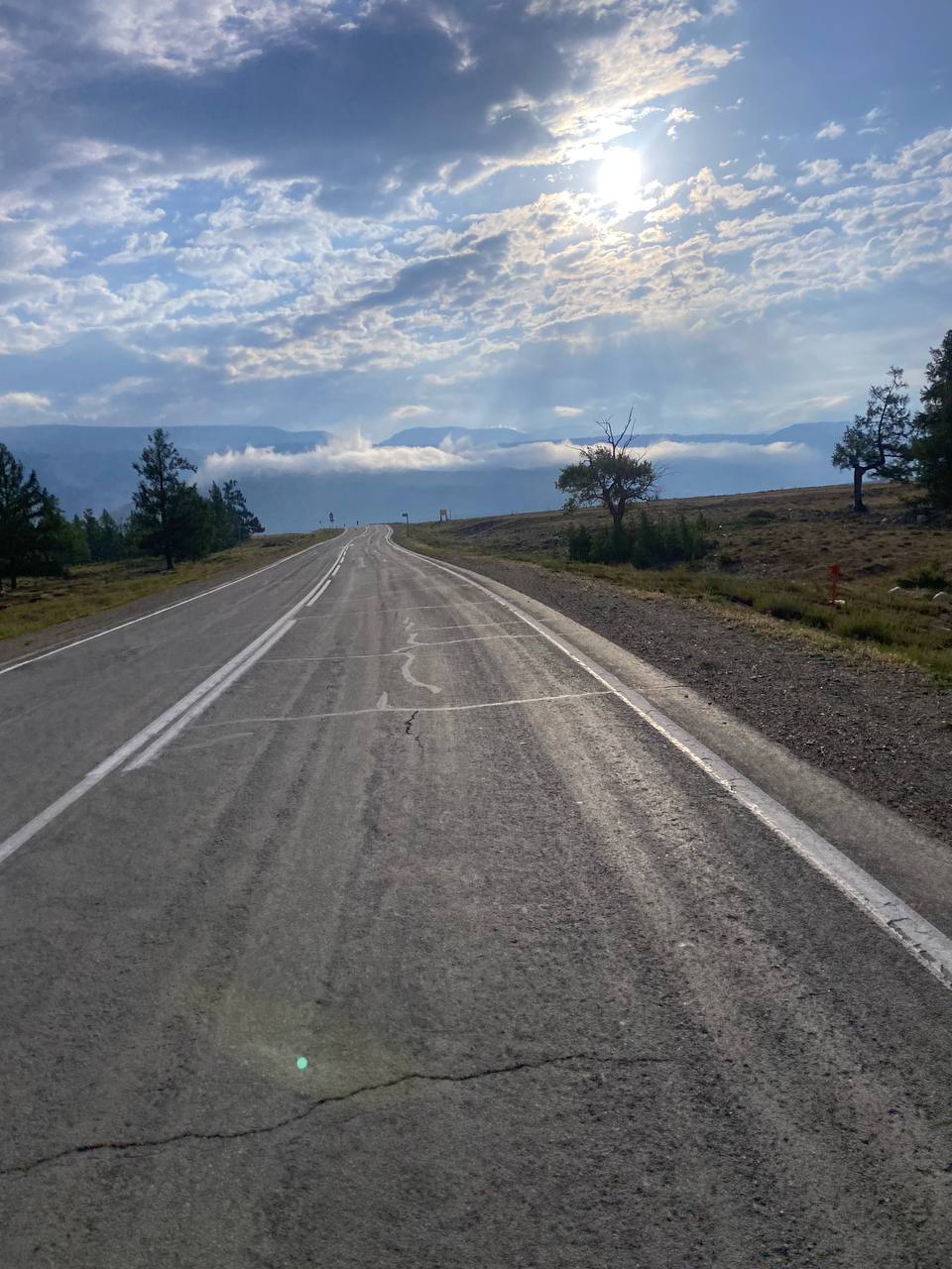 Арама Анна
